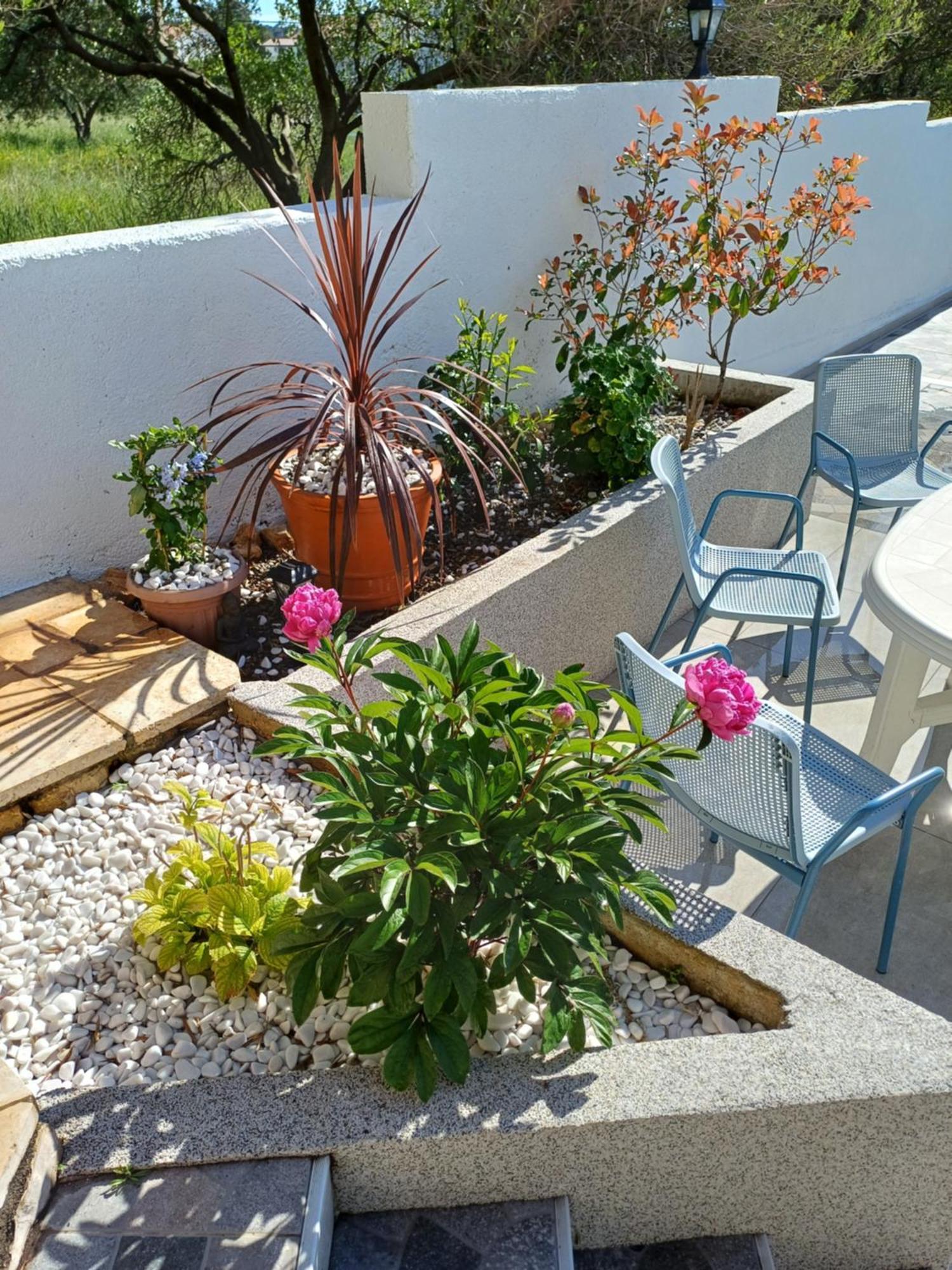 Casa Surya - Apartments With Sea View And Swimming Pool Barbat na Rabu Exterior photo